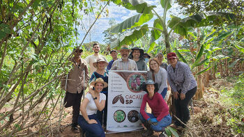 Imagem da notícia 1 ano da criação do Núcleo de Cacau da ACIRP